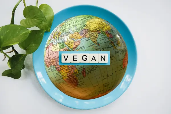international vegan dishes